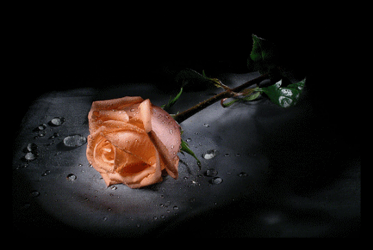 st valentin de reves